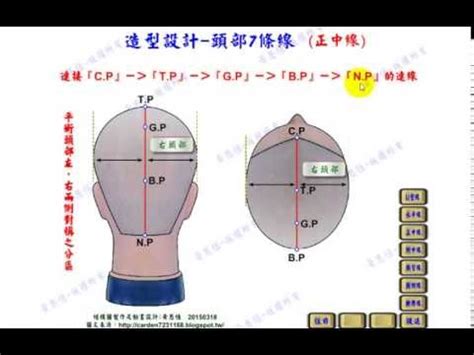 頭部七條基準線中，側頭線是|髮型設計系列:15個基準點及7條主分區線的位置與作用。